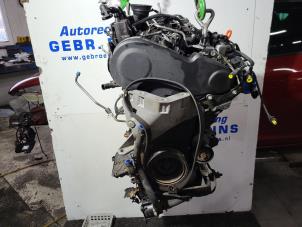 Used Engine Seat Ibiza IV (6J5) 1.2 TDI Ecomotive Price € 550,00 Margin scheme offered by Autorec. Gebr. Prins b.v.