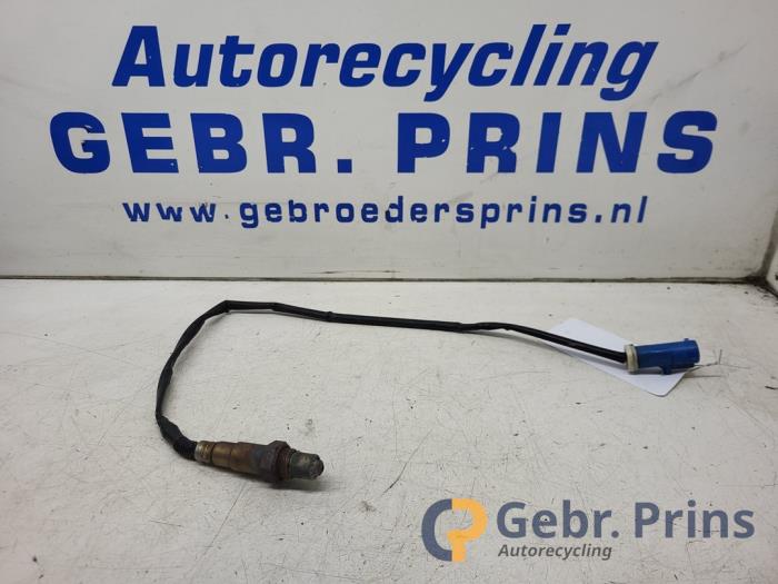 Usados Sonda Lambda Ford C-Max (DXA) 1.6 SCTi 16V Precio € 15,00 Norma de margen ofrecido por Autorec. Gebr. Prins b.v.