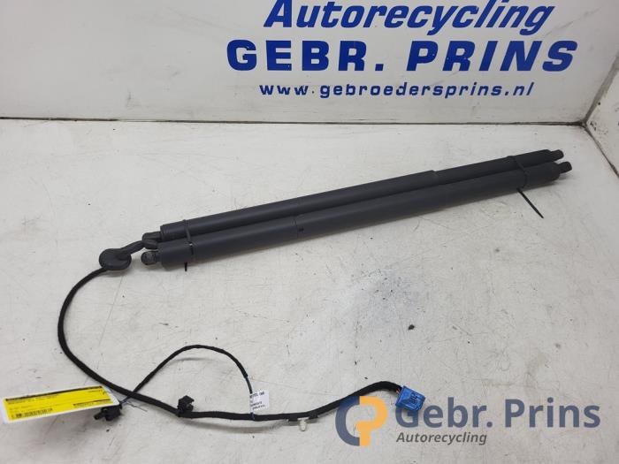 Parking sensor wiring loom