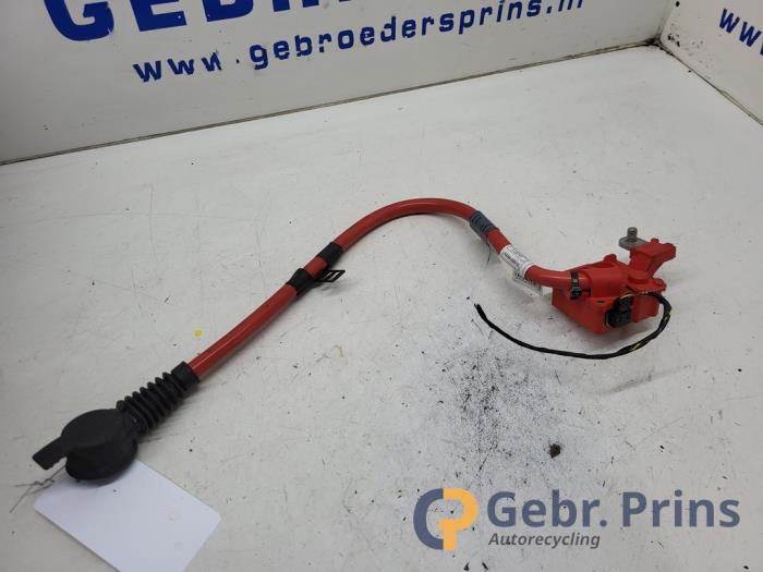 Pyrofuse z BMW 7 serie (F01/02/03/04) 740d 24V 2013