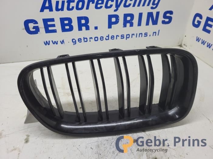Używane Grill BMW 5 serie (F10) 525d xDrive 16V Cena € 20,00 Procedura marży oferowane przez Autorec. Gebr. Prins b.v.