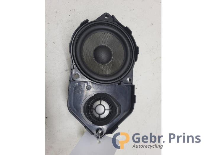 Panel speaker