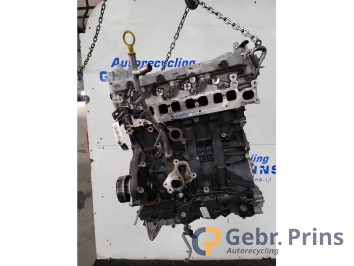 Gebrauchte Motor Nissan Primastar 2.0 dCi 150 Preis € 1.512,50 Mit Mehrwertsteuer angeboten von Autorec. Gebr. Prins b.v.