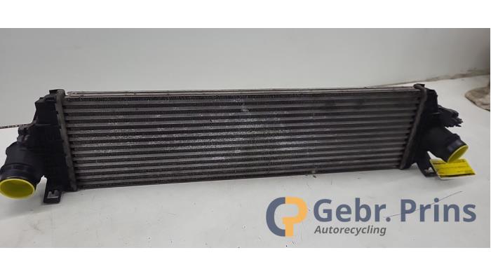 Usados Intercooler Ford Focus 4 Wagon 1.0 Ti-VCT EcoBoost 12V 100 Precio € 100,00 Norma de margen ofrecido por Autorec. Gebr. Prins b.v.