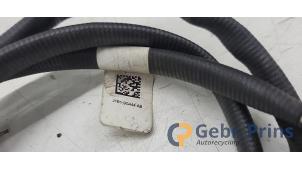 Sonde lambda d'un Ford Fiesta 7 1.0 EcoBoost 12V 100 2019