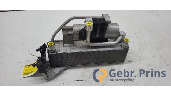 Usagé Condenseur de climatisation BMW 1 serie (F20) 120i 2.0 16V Prix € 75,00 Règlement à la marge proposé par Autorec. Gebr. Prins b.v.