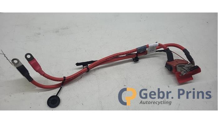 Używane Biegun akumulator BMW 1 serie (F20) 120i 2.0 16V Cena € 25,00 Procedura marży oferowane przez Autorec. Gebr. Prins b.v.