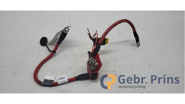 Używane Biegun akumulator BMW 3 serie (F30) 320i 2.0 16V Cena € 25,00 Procedura marży oferowane przez Autorec. Gebr. Prins b.v.