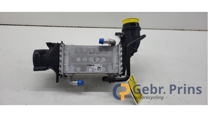 Usados Intercooler Skoda Karoq 1.5 TSI 16V Precio € 175,00 IVA incluido ofrecido por Autorec. Gebr. Prins b.v.