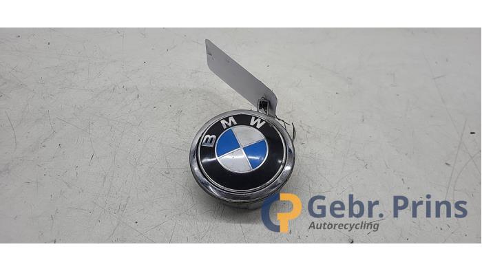 Tailgate handle