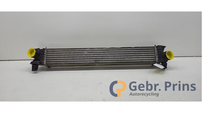 Usados Intercooler Fiat Ducato (250) 2.3 D 120 Multijet Precio € 90,75 IVA incluido ofrecido por Autorec. Gebr. Prins b.v.