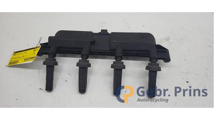 Gebrauchte Zündspule Peugeot 206+ (2L/M) 1.4 XS Preis € 25,00 Margenregelung angeboten von Autorec. Gebr. Prins b.v.