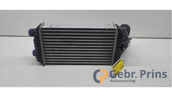 Usagé Intercooler Peugeot 2008 (UD/UK/UR/US/UX) 1.2 VTi 12V PureTech 130 Prix € 75,00 Règlement à la marge proposé par Autorec. Gebr. Prins b.v.