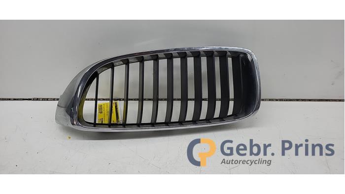 Gebrauchte Grill BMW 4 serie Gran Coupe (F36) 430d 3.0 24V Preis € 25,00 Margenregelung angeboten von Autorec. Gebr. Prins b.v.