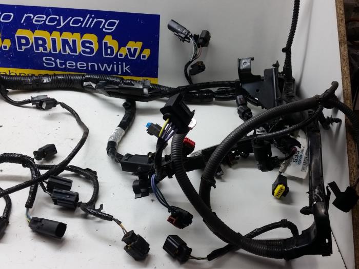 Wiring harness Ford Fiesta VII 1.5 TDCi - F1BT12A522RFB