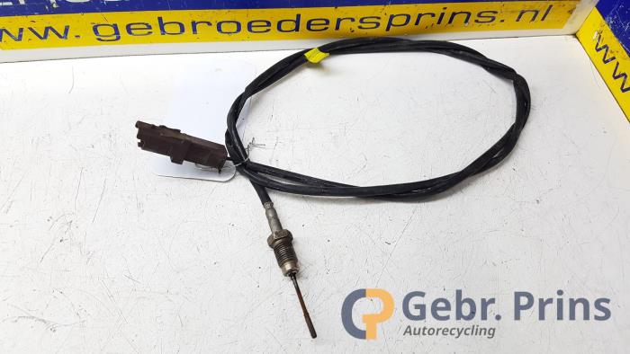 Begagnade Partikelfiltersensor Citroen C5 Pris € 20,00 Marginaltabell erbjuds av Autorec. Gebr. Prins b.v.