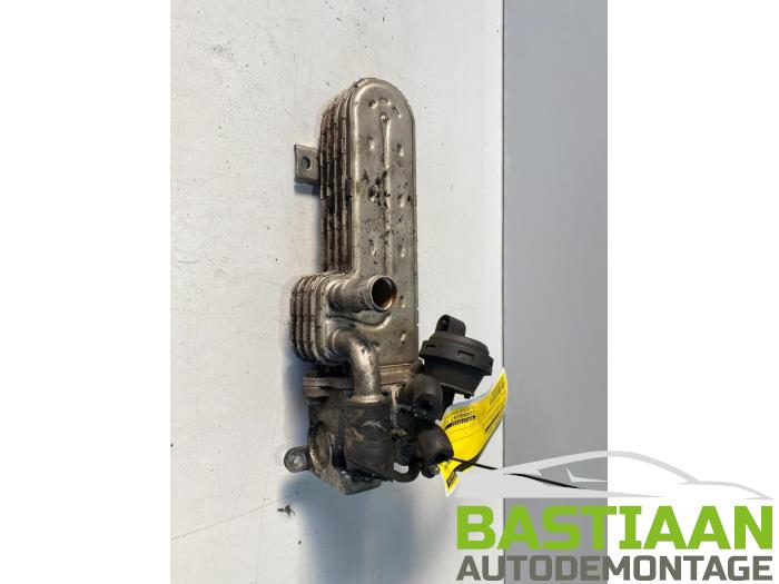 Gebrauchte AGR Ventil Volkswagen Polo V (6R) 1.6 TDI 16V 90 Preis € 65,00 Margenregelung angeboten von Bastiaan Autodemontage