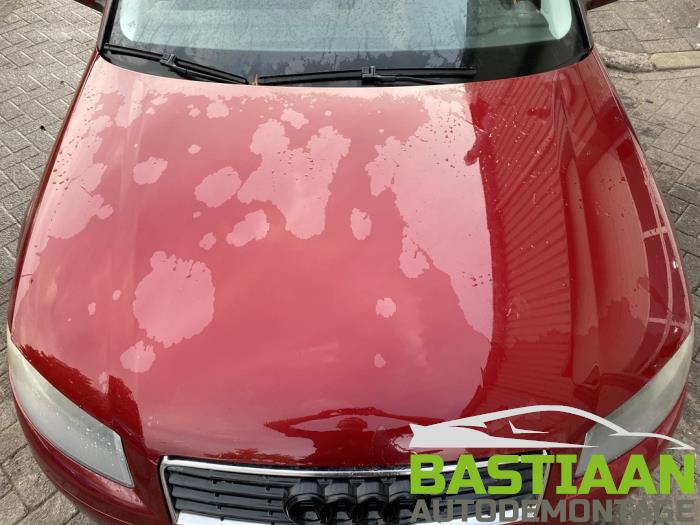 Gebrauchte Motorhaube Audi A3 (8P1) 2.0 16V FSI Preis € 124,99 Margenregelung angeboten von Bastiaan Autodemontage