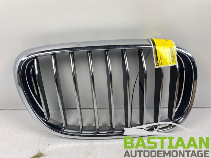 Używane Grill BMW 7-Serie Cena € 49,99 Procedura marży oferowane przez Bastiaan Autodemontage