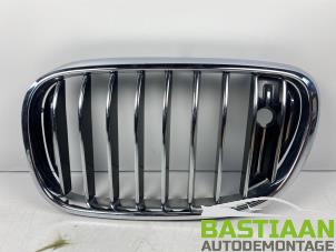 Gebrauchte Grill BMW 7 serie (G11/12) Preis € 49,99 Margenregelung angeboten von Bastiaan Autodemontage