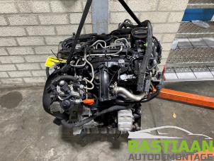 Used Engine Volkswagen Tiguan (5N1/2) 2.0 TDI 16V 4Motion Price € 1.399,99 Margin scheme offered by Bastiaan Autodemontage