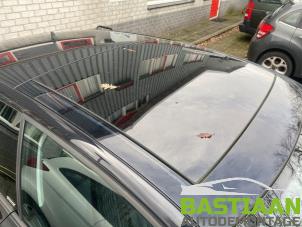 Używane Dach panoramiczny Volkswagen Polo V (6R) 1.2 TSI Cena € 1.250,00 Procedura marży oferowane przez Bastiaan Autodemontage