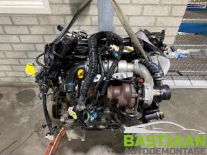 Used Engine Ford Focus 3 Wagon 1.6 TDCi 115 Price € 999,99 Margin scheme offered by Bastiaan Autodemontage