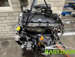 Used Engine Seat Altea (5P1) 1.9 TDI 105 Price € 500,00 Margin scheme offered by Bastiaan Autodemontage