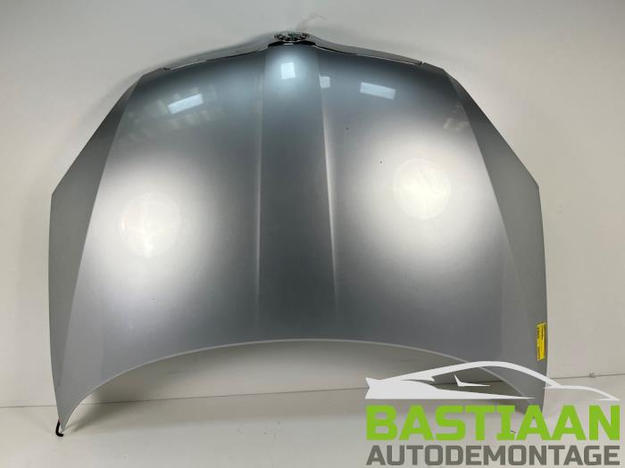 Usados Capó Skoda Fabia II Combi 1.2i 12V Precio € 249,99 Norma de margen ofrecido por Bastiaan Autodemontage