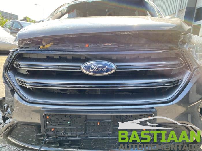 Używane Grill Ford Kuga II (DM2) 1.5 EcoBoost 16V 150 Cena € 199,99 Procedura marży oferowane przez Bastiaan Autodemontage