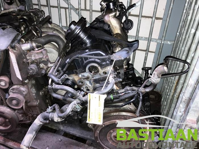 Gebrauchte Motor Volkswagen Golf IV (1J1) 1.9 TDI 100 Preis € 237,00 Margenregelung angeboten von Bastiaan Autodemontage