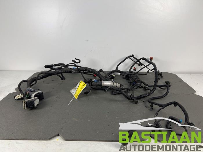 Begagnade Kablage Ford B-Max (JK8) 1.0 EcoBoost 12V 100 Pris € 149,99 Marginaltabell erbjuds av Bastiaan Autodemontage