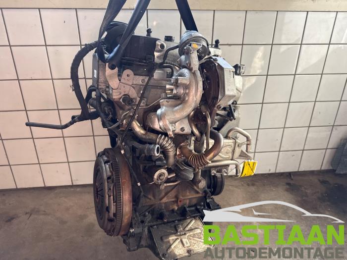 Używane Silnik Volkswagen Polo V (6R) 1.2 TDI 12V BlueMotion Cena € 524,95 Procedura marży oferowane przez Bastiaan Autodemontage