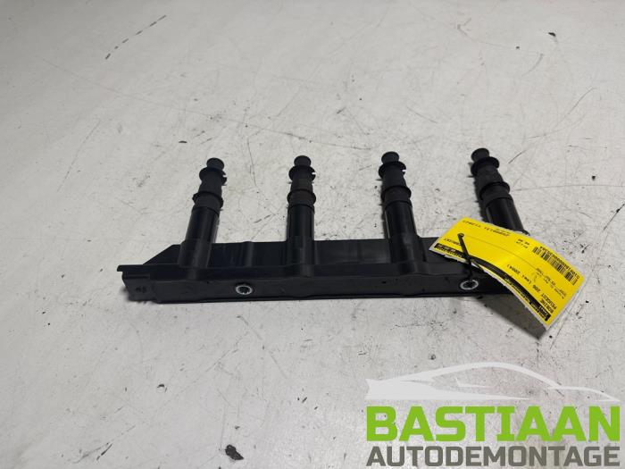 Usagé Bobine Peugeot 206 (2A/C/H/J/S) 1.4 16V Prix € 40,00 Règlement à la marge proposé par Bastiaan Autodemontage