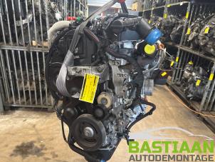Used Engine Citroen Berlingo 1.6 Hdi 75 16V Phase 1 Price € 899,95 Margin scheme offered by Bastiaan Autodemontage