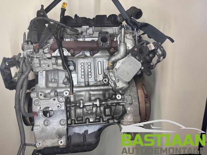Gebrauchte Motor Ford Fiesta 6 (JA8) 1.4 TDCi Preis € 399,95 Margenregelung angeboten von Bastiaan Autodemontage