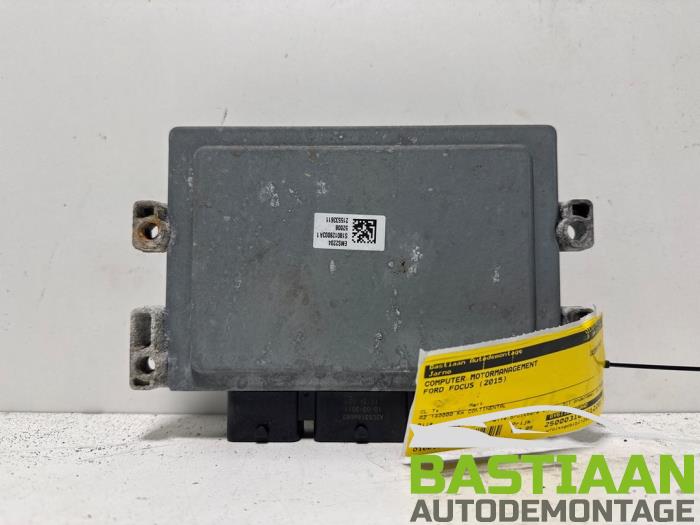 Used Engine management computer Ford Focus 3 Wagon 1.6 Ti-VCT 16V 105 Price € 109,99 Margin scheme offered by Bastiaan Autodemontage