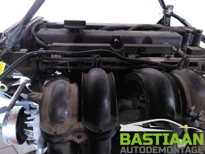 Gebrauchte Motor Ford Fiesta 6 (JA8) 1.25 16V Preis € 599,95 Margenregelung angeboten von Bastiaan Autodemontage