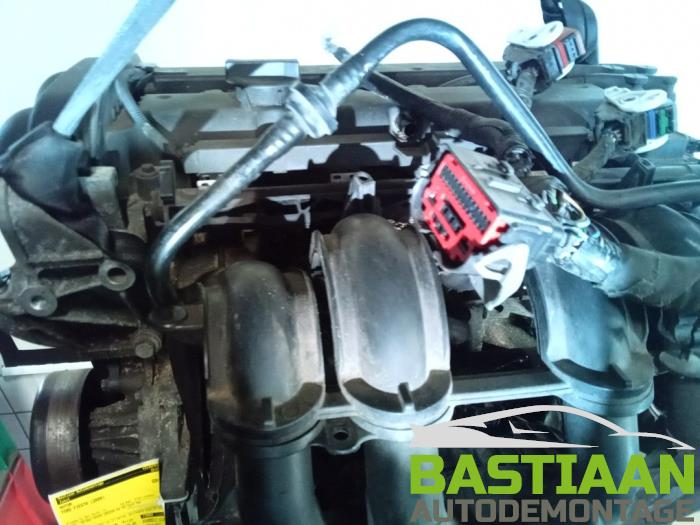 Używane Silnik Ford Fiesta 6 (JA8) 1.25 16V Cena € 599,95 Procedura marży oferowane przez Bastiaan Autodemontage