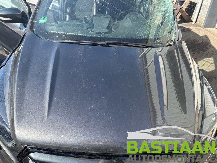 Używane Maska Ford Kuga II (DM2) 2.0 TDCi 16V 180 4x4 Cena na żądanie oferowane przez Bastiaan Autodemontage