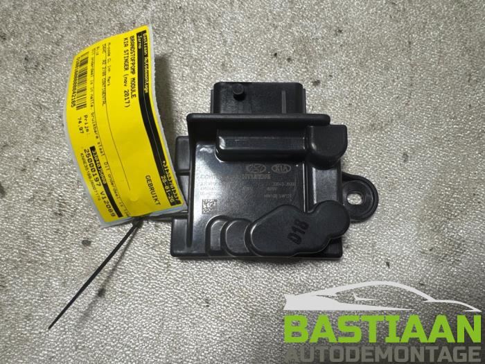 Usagé Module pompe carburant Kia Stinger (CK) 2.2 CRDi 16V Prix € 74,97 Règlement à la marge proposé par Bastiaan Autodemontage