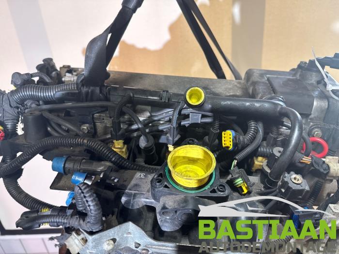 Używane Silnik Fiat Panda (169) 1.2 Fire Cena € 299,95 Procedura marży oferowane przez Bastiaan Autodemontage