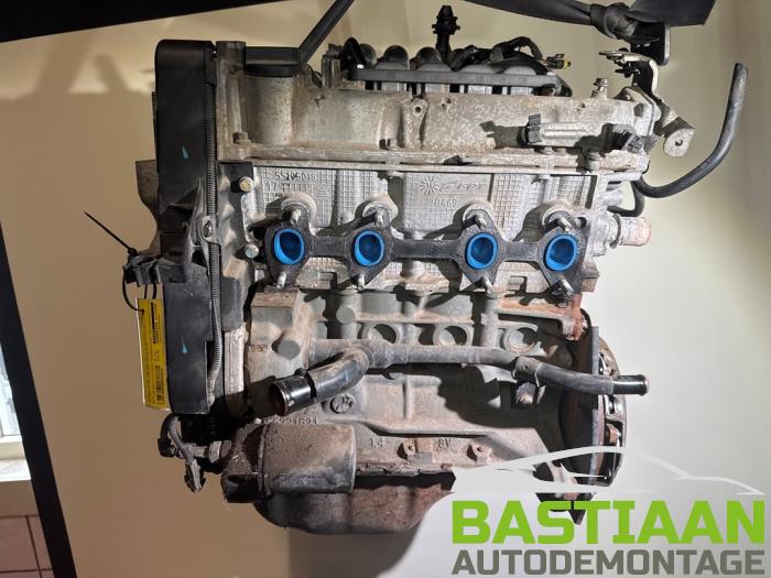 Gebrauchte Motor Ford Ka II 1.2 Preis € 374,95 Margenregelung angeboten von Bastiaan Autodemontage