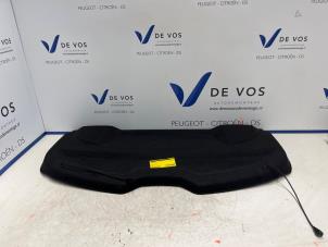 Gebrauchte Hutablage Peugeot 208 I (CA/CC/CK/CL) 1.5 BlueHDi 100 Preis € 70,00 Margenregelung angeboten von De Vos Autodemontagebedrijf