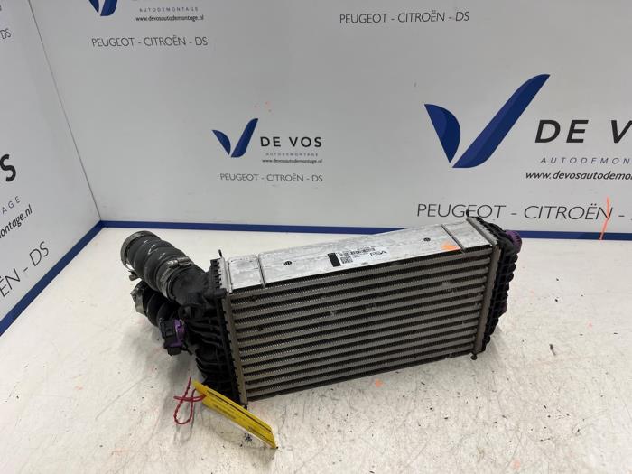 Usados Intercooler Opel Corsa F (UB/UH/UP) 1.2 Turbo 12V 130 Precio € 90,00 Norma de margen ofrecido por De Vos Onderdelen