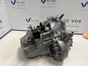 Usados Caja de cambios Peugeot Expert (VA/VB/VE/VF/VY) 1.5 BlueHDi 120 Precio € 1.391,50 IVA incluido ofrecido por De Vos Autodemontagebedrijf