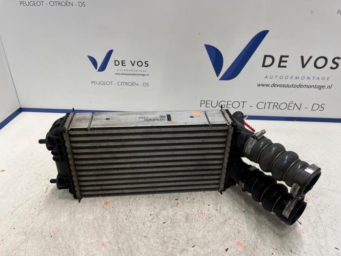 Usados Intercooler Opel Corsa F (UB/UH/UP) 1.2 Turbo 12V 100 Precio € 90,00 Norma de margen ofrecido por De Vos Onderdelen