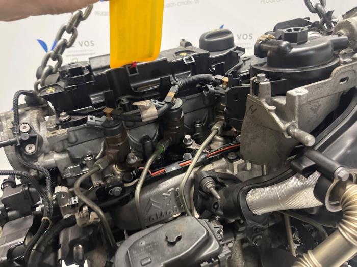 Engine Citroen Berlingo - 1611138680 BHY - De Vos Onderdelen