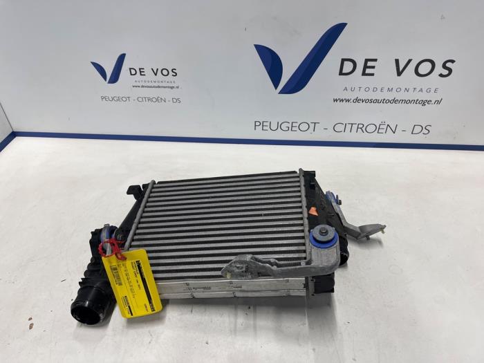 Usagé Intercooler Peugeot Expert (V1/VA/VB/VE/VF/VT/VY) 2.0 Blue HDi 150 16V Prix € 250,00 Règlement à la marge proposé par De Vos Onderdelen