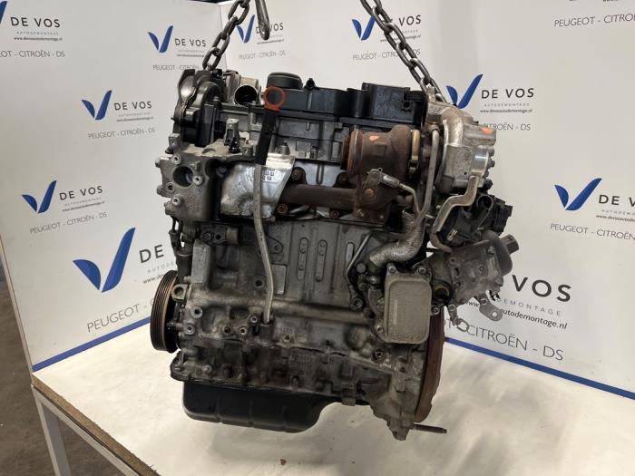Used Engine Citroen C3 (SX/SW) 1.6 Blue HDi 75 16V Price € 2.000,00 Margin scheme offered by De Vos Onderdelen